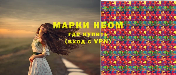 ГАЛЛЮЦИНОГЕННЫЕ ГРИБЫ Ельня
