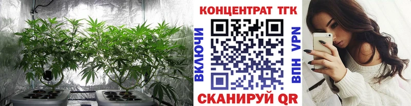 Дистиллят ТГК THC oil  купить наркотики цена  Камызяк 
